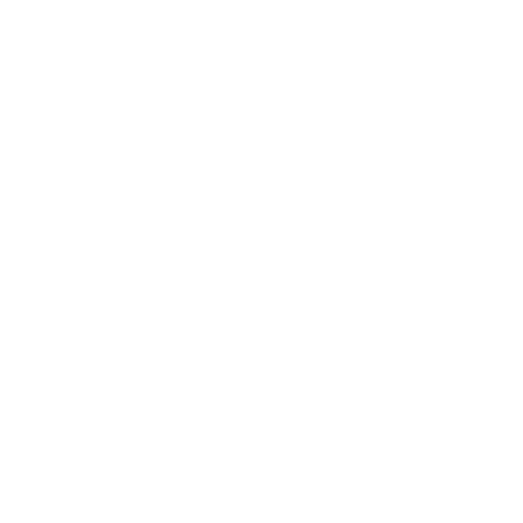 Leroy Merlin 1024x1024